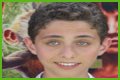 Ryan Alessi - Age, Family, Bio